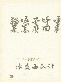 猫嗓子呼噜呼噜是怎么回事