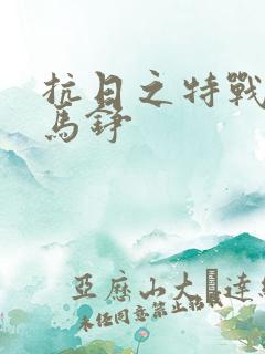 抗日之特战兵王马铮