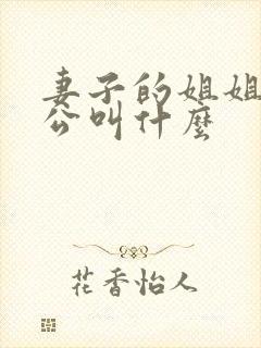 妻子的姐姐的老公叫什么