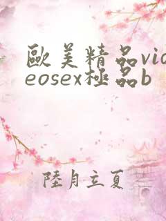 欧美精品videosex极品b