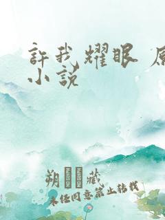 许我耀眼 原著小说