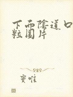 下面阴道口有肉粒图片