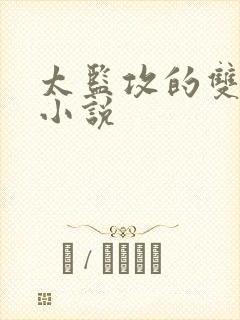 太监攻的双男主小说