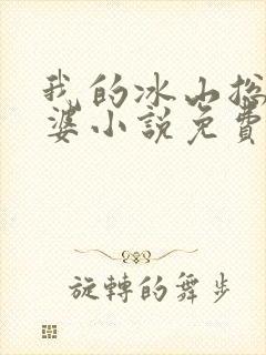 我的冰山总裁老婆小说免费完整版