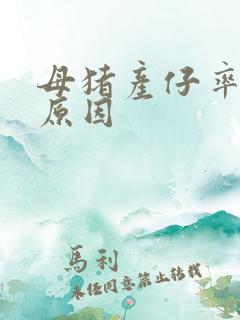 母猪产仔率低的原因