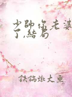 少帅你老婆又跑了,结局