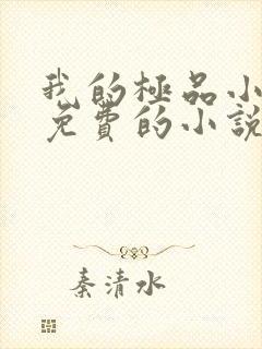 我的极品小姨全免费的小说