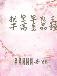 抗旱早熟玉米种子高产品种