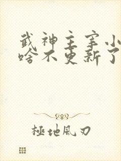 武神主宰小说为啥不更新了