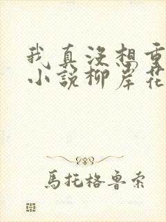 我真没想重生啊小说柳岸花又明