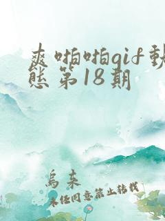 爽啪啪gif动态第18期