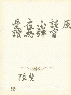 爱夜小说原文阅读无弹窗