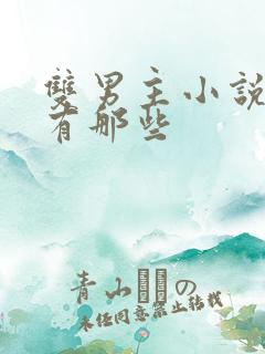 双男主小说虐文有那些