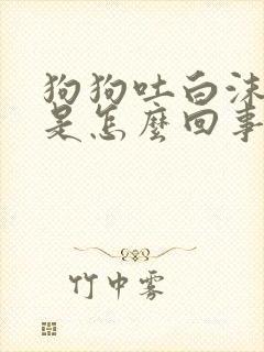 狗狗吐白沫拉血是怎么回事