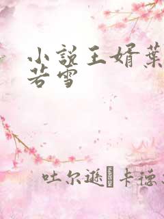 小说王婿叶凡唐若雪