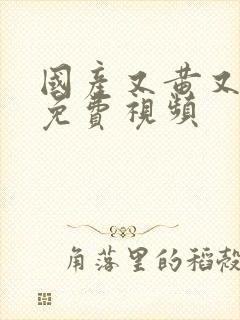 国产又黄又湿的免费视频