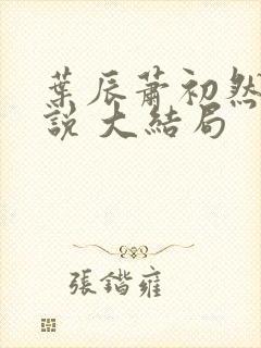 叶辰萧初然 小说 大结局