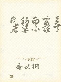 我的白富美总裁老婆小说下载