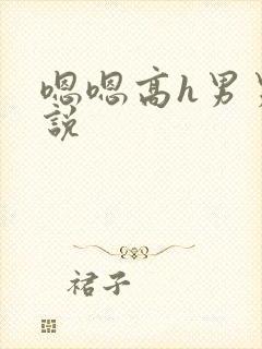 嗯嗯高h男男小说