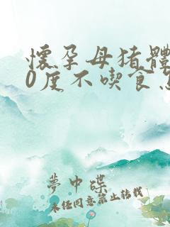 怀孕母猪体温40度不吃食怎么办