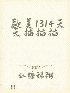 欧美1314天天插插插