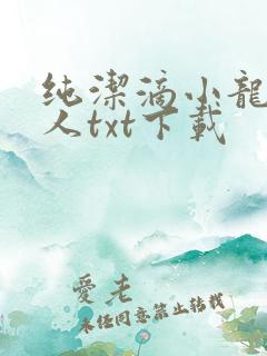 纯洁滴小龙捞尸人txt下载