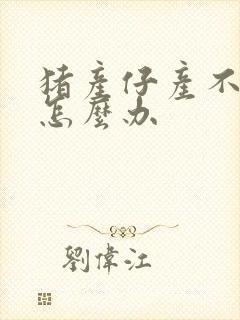 猪产仔产不下来怎么办