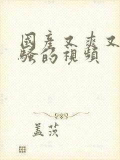 国产又爽又猛又骚的视频