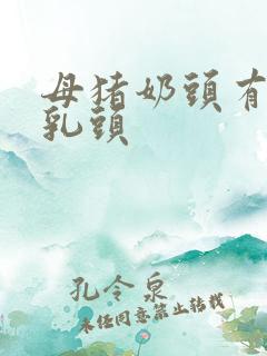 母猪奶头有几颗乳头