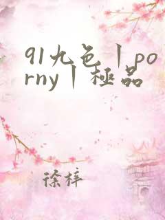 91九色丨porny丨极品