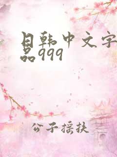 日韩中文字幕精品999
