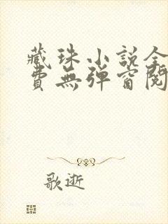 藏珠小说全文免费无弹窗阅读