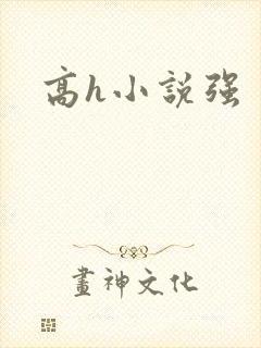 高h小说强