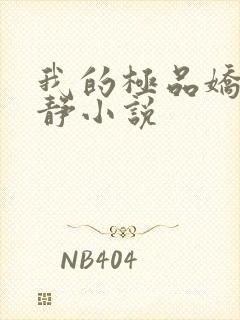 我的极品娇妻白静小说