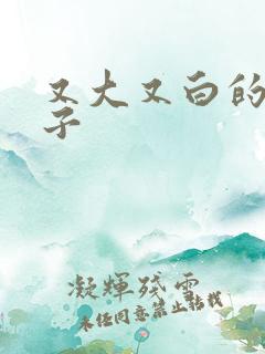 又大又白的大奶子