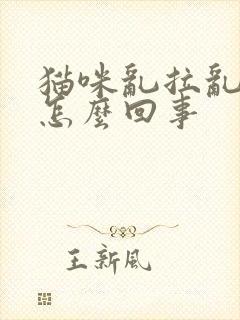 猫咪乱拉乱尿是怎么回事