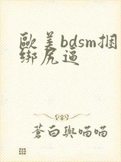 欧美bdsm捆绑尻逼