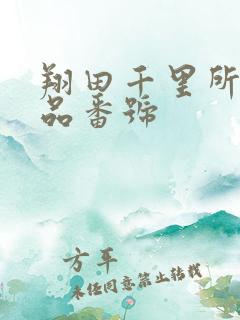 翔田千里所有作品番号