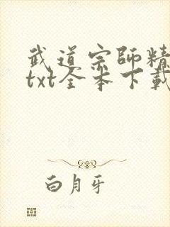 武道宗师精校版txt全本下载