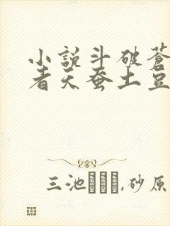 小说斗破苍穹作者天蚕土豆