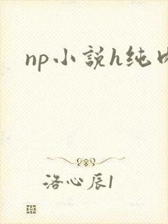 np小说h纯肉