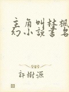 主角叫林枫的玄幻小说书名