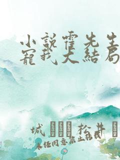 小说霍先生乖乖宠我大结局