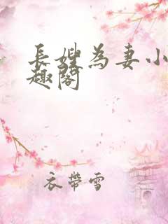 长嫂为妻小说笔趣阁