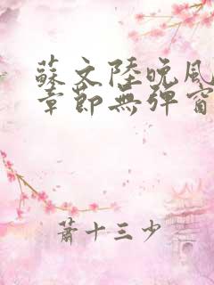 苏文陆晚风最新章节无弹窗笔趣阁