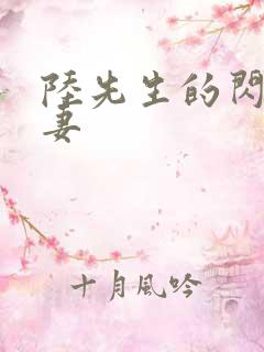 陆先生的闪婚甜妻