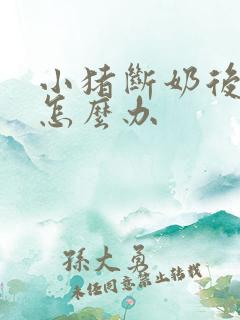 小猪断奶后拉稀怎么办