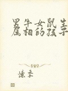 男牛女鼠生什么属相的孩子好