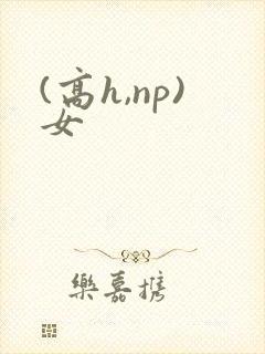 (高h,np)女