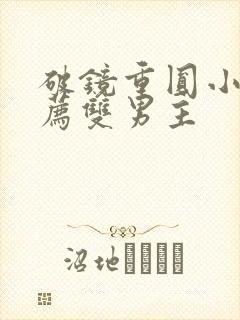 破镜重圆小说推荐双男主